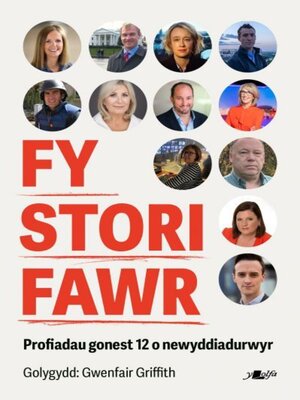 cover image of Fy Stori Fawr